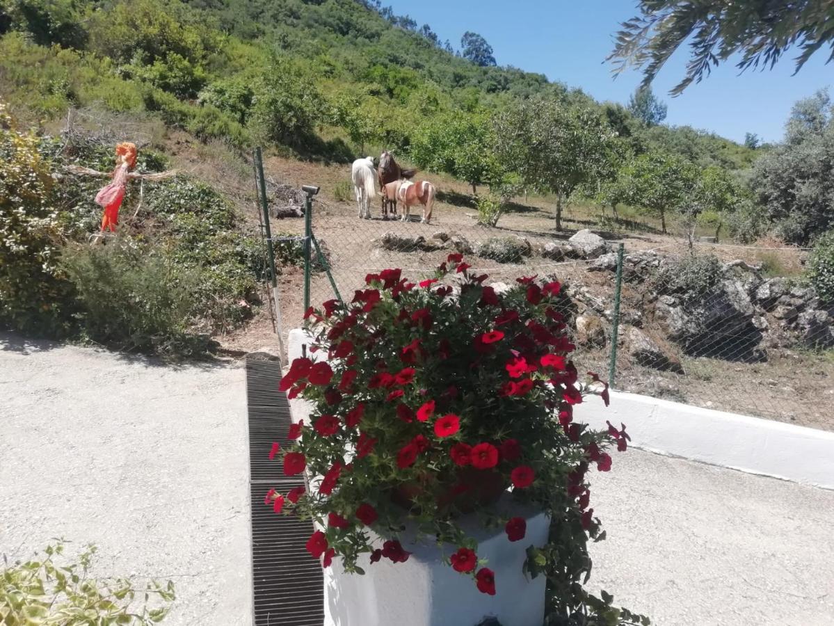Casinha Da Lareira - Quintinha Dos Cavalos- Arruda Dos Vinhos Exterior foto